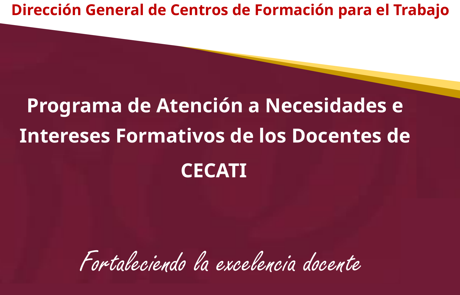 Programa de Atención a Necesidades e Intereses Formativos para los docentes de CECATI
